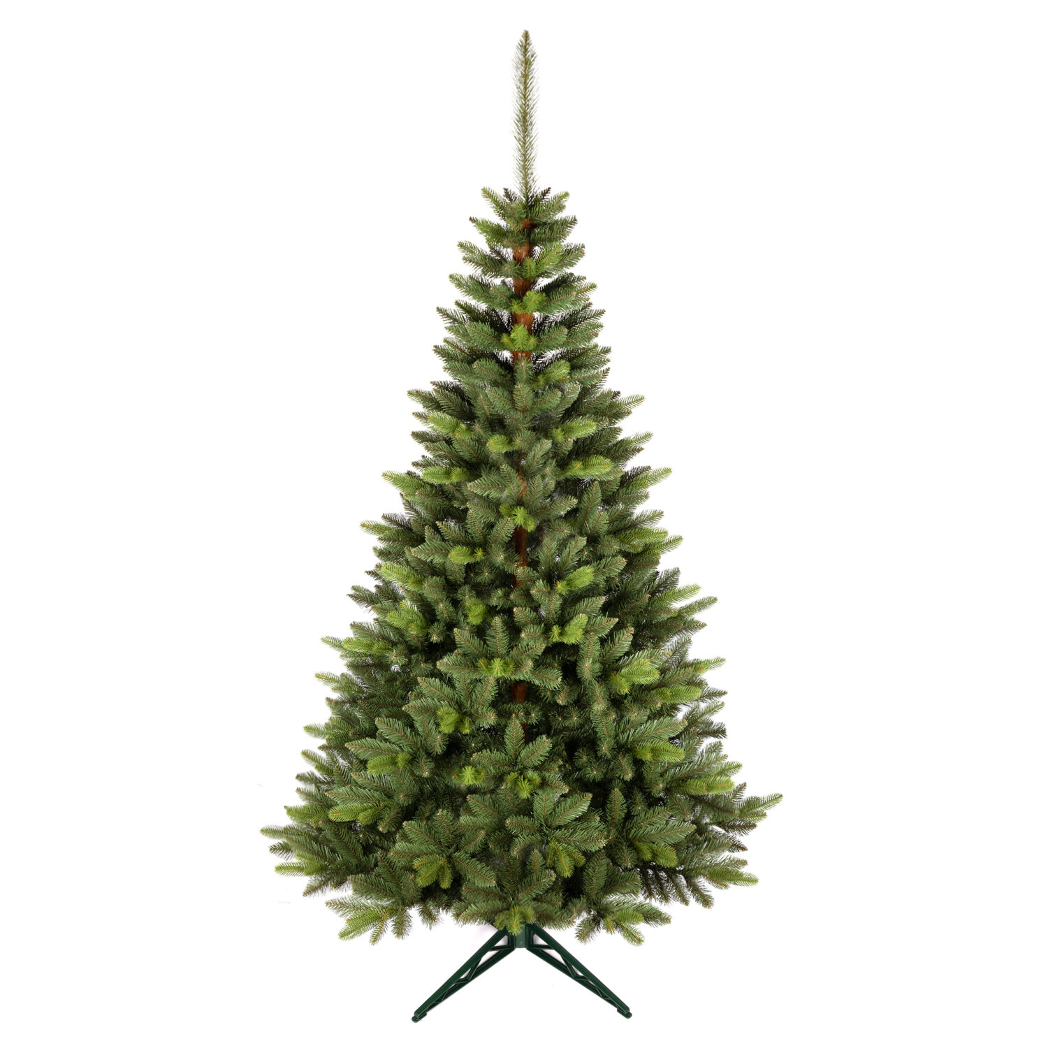 Świerk Bergamo 220cm